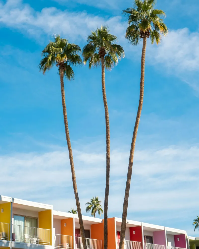 Placeholder: palm trees above a colourful motel in Palm Springs, California